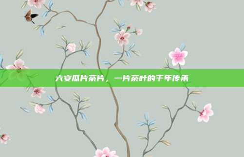六安瓜片茶片,一片茶叶的千年传承