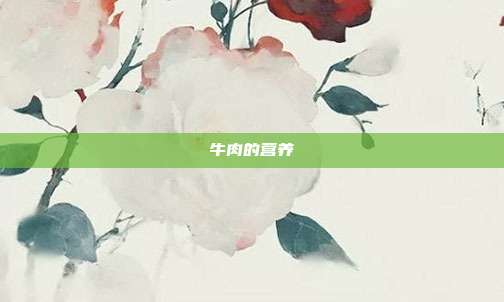 牛肉的营养