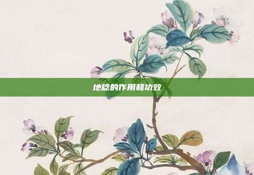 地稔的作用和功效