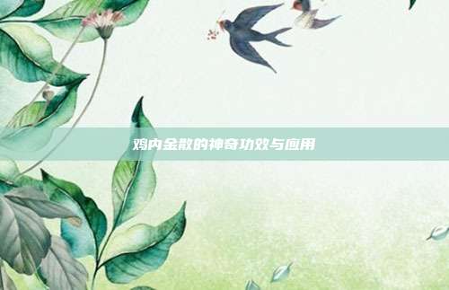 鸡内金散的神奇功效与应用
