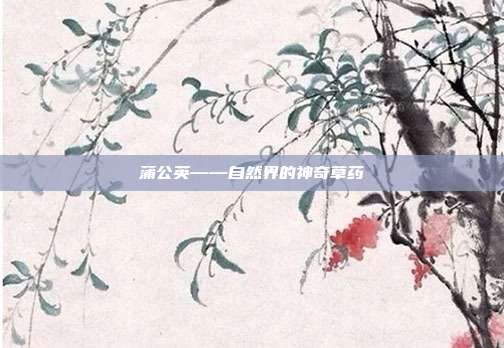 蒲公英——自然界的神奇草药
