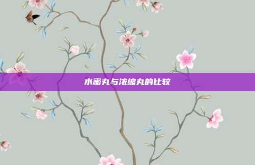 水蜜丸与浓缩丸的比较