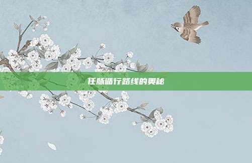 任脉循行路线的奥秘