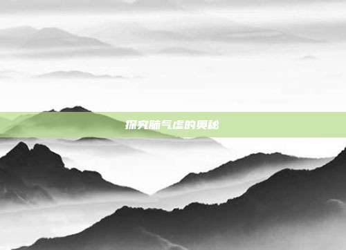 探究肺气虚的奥秘