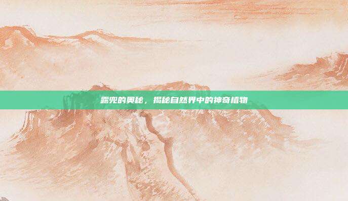 露兜的奥秘，揭秘自然界中的神奇植物