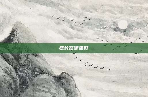 痣长在哪里好