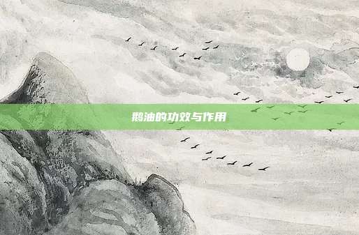 鹅油的功效与作用