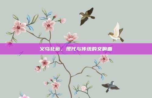义乌北苑，现代与传统的交响曲
