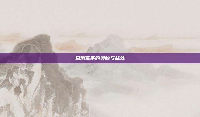 白菊花茶的奥秘与益处