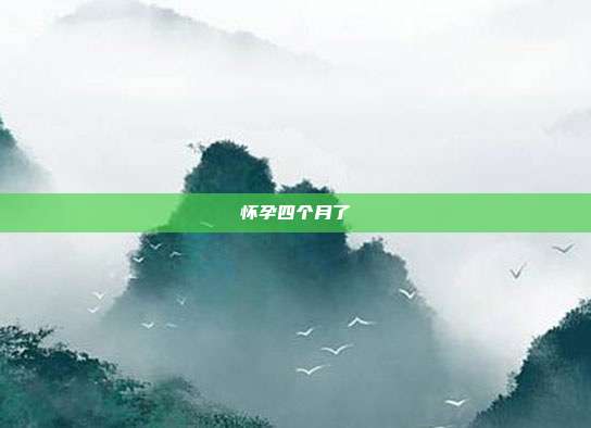 怀孕四个月了