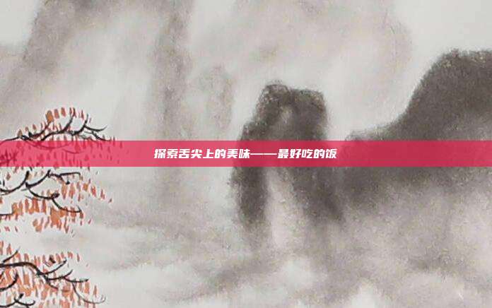 探索舌尖上的美味——最好吃的饭