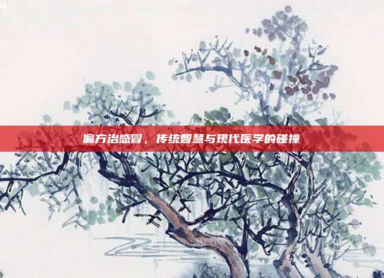 偏方治感冒,传统智慧与现代医学的碰撞