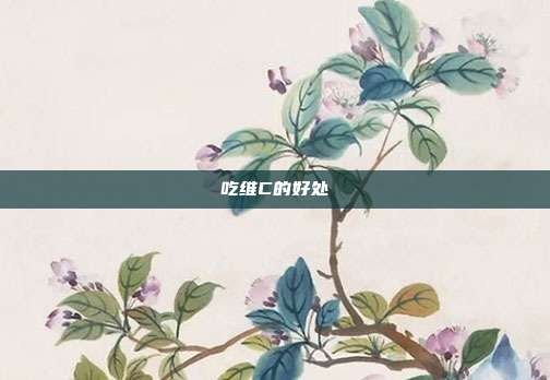 吃维C的好处