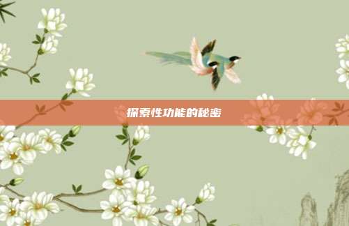 探索性功能的秘密