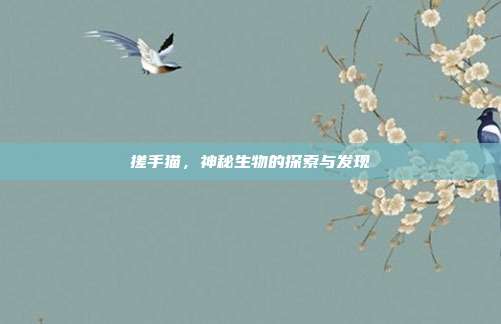 搓手猫,神秘生物的探索与发现