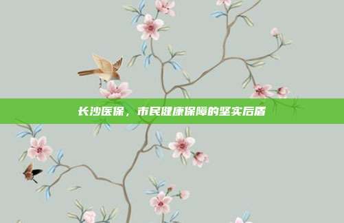 长沙医保,市民健康保障的坚实后盾