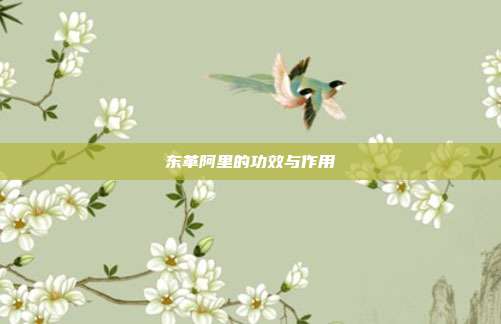 东革阿里的功效与作用