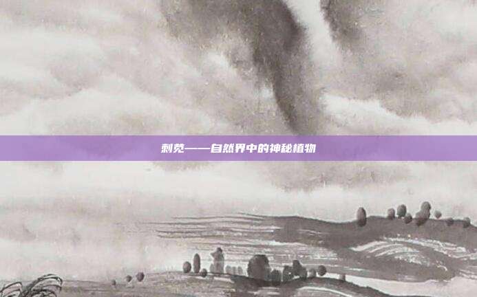 刺苋——自然界中的神秘植物