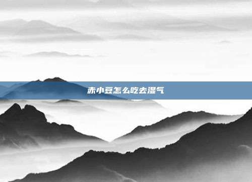 赤小豆怎么吃去湿气