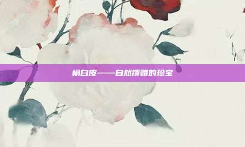 榆白皮——自然馈赠的珍宝