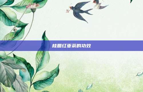 桂圆红枣茶的功效