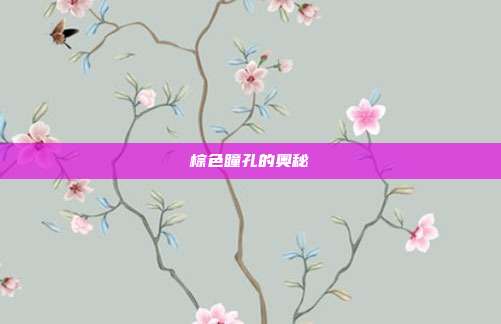 棕色瞳孔的奥秘