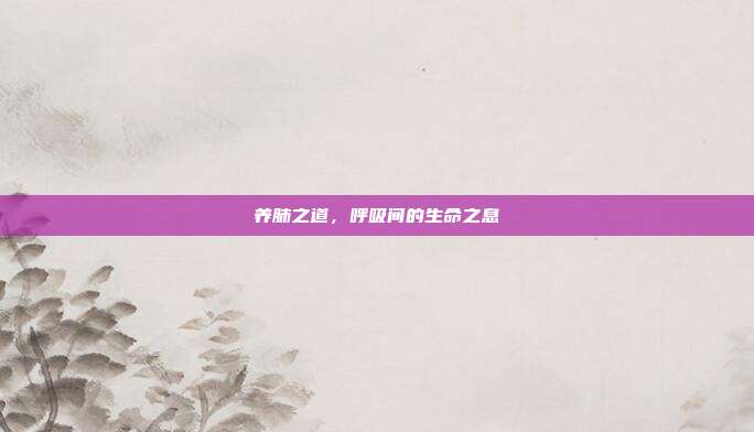 养肺之道,呼吸间的生命之息