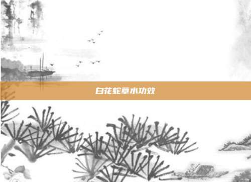 白花蛇草水功效
