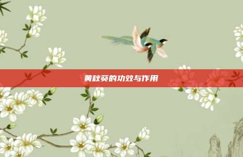 黄秋葵的功效与作用