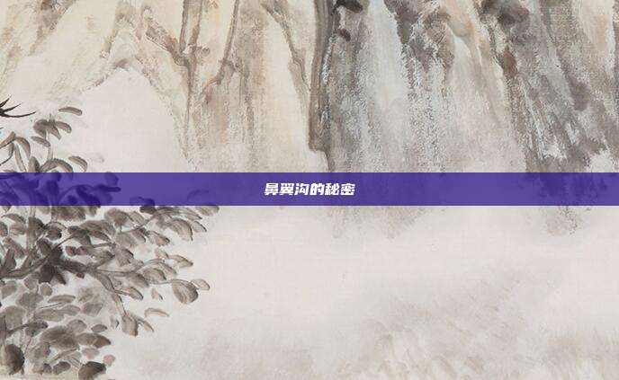 鼻翼沟的秘密