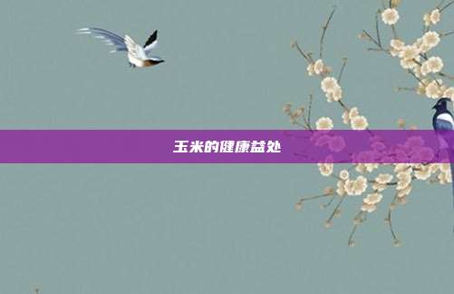 玉米的健康益处