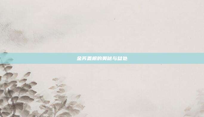 金荞麦根的奥秘与益处
