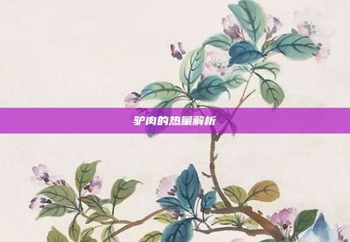 驴肉的热量解析