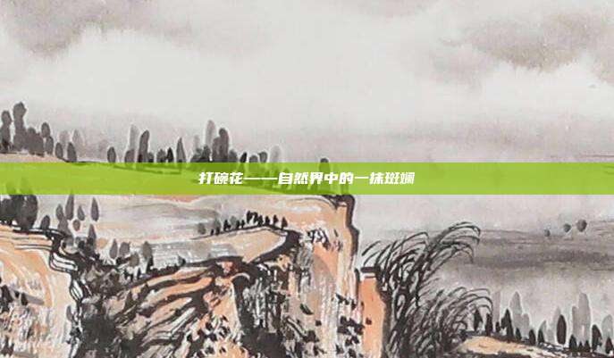 打碗花——自然界中的一抹斑斓