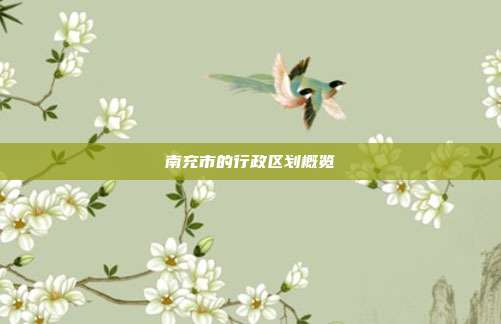 南充市的行政区划概览