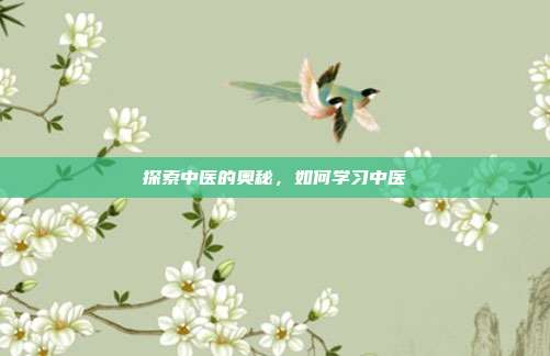 探索中医的奥秘,如何学习中医