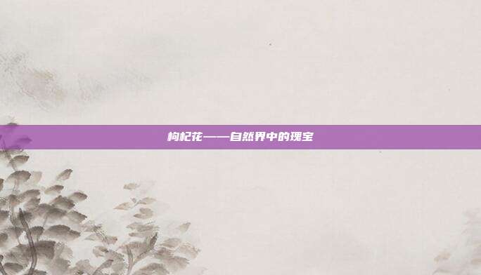 枸杞花——自然界中的瑰宝