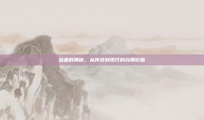 参麦的奥秘,从传统到现代的药用价值
