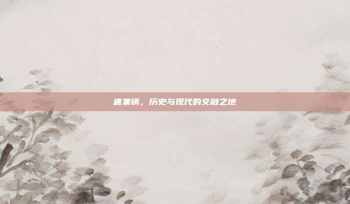 唐集镇,历史与现代的交融之地
