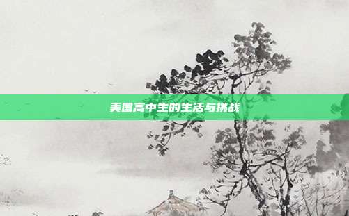 美国高中生的生活与挑战