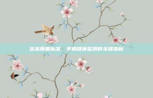 宫高腹围标准,孕期健康监测的关键指标