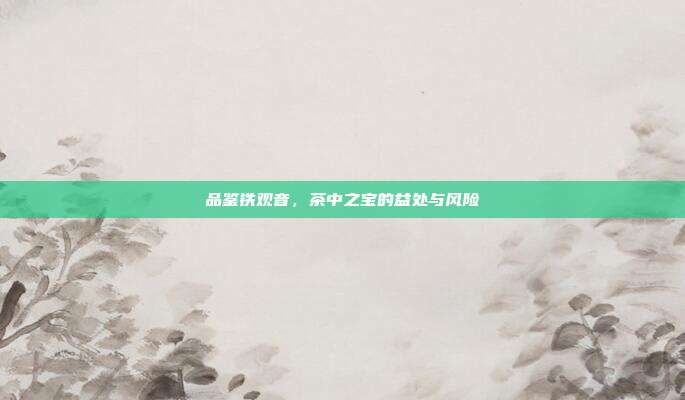 品鉴铁观音,茶中之宝的益处与风险