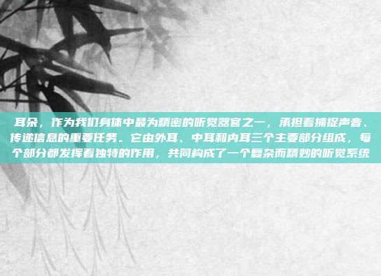 耳朵,作为我们身体中最为精密的听觉器官之一,承担着捕捉声音、传递信息的重要任务。它由外耳、中耳和内耳三个主要部分组成,每个部分都发挥着独特的作用,共同构成了一个复杂而精妙的听觉系统