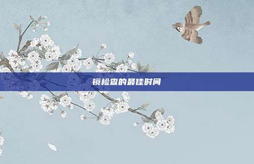 镜检查的最佳时间