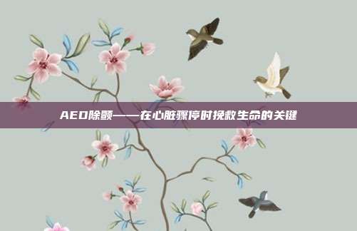 AED除颤——在心脏骤停时挽救生命的关键