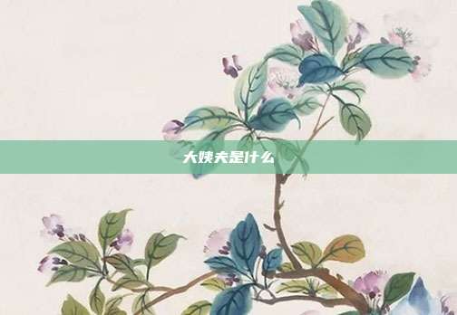 大姨夫是什么