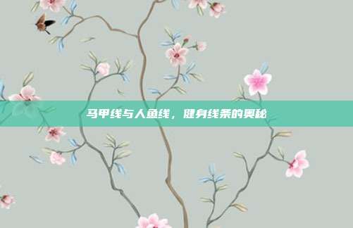 马甲线与人鱼线,健身线条的奥秘