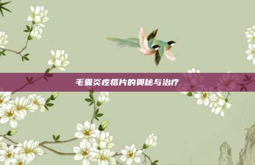毛囊炎疙瘩片的奥秘与治疗