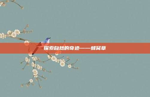 探索自然的奇迹——蜂窝草