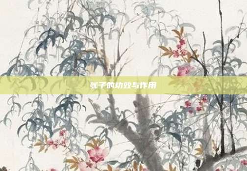 瓠子的功效与作用